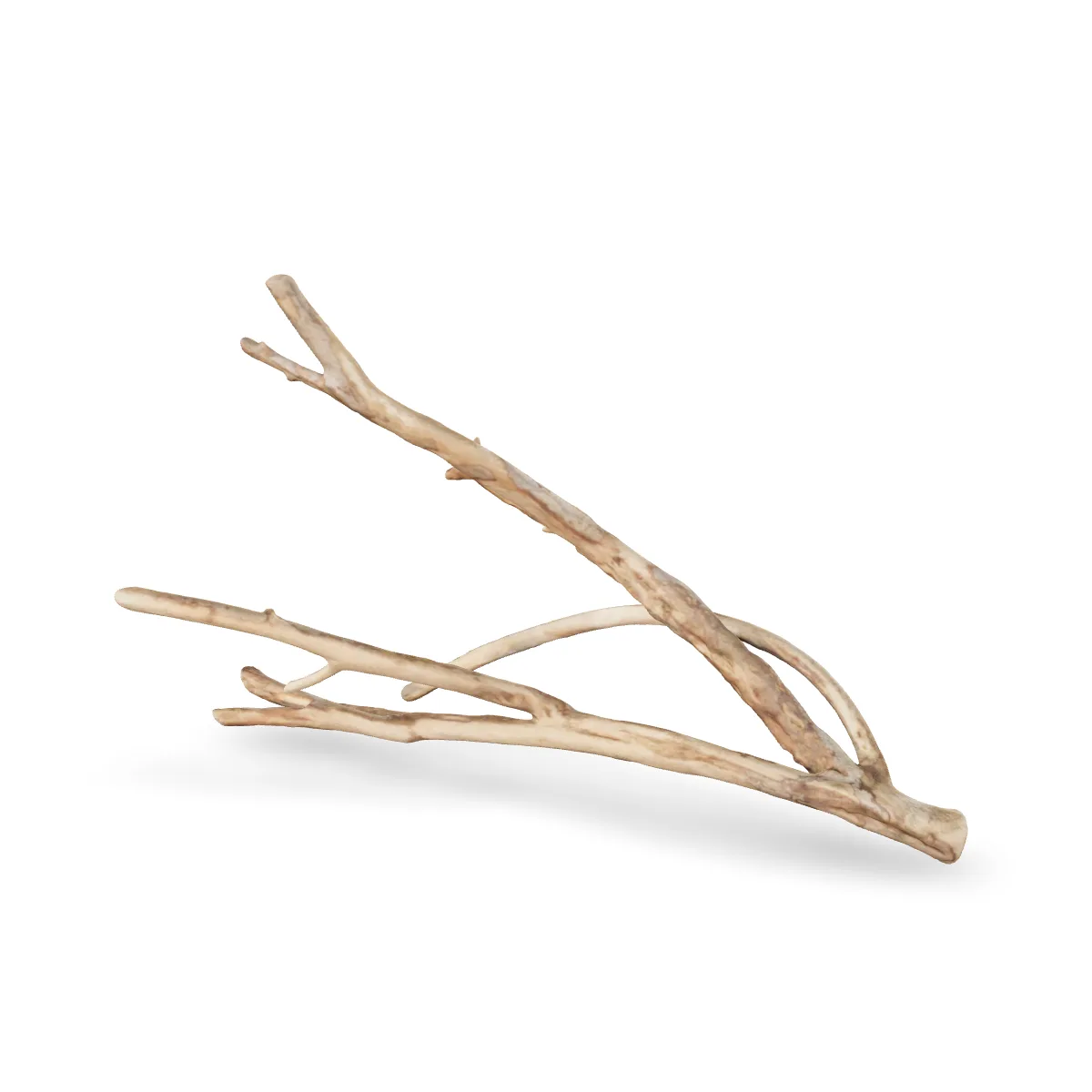 Talawawurzel 3D Nr. 1233 (53x31x13cm)