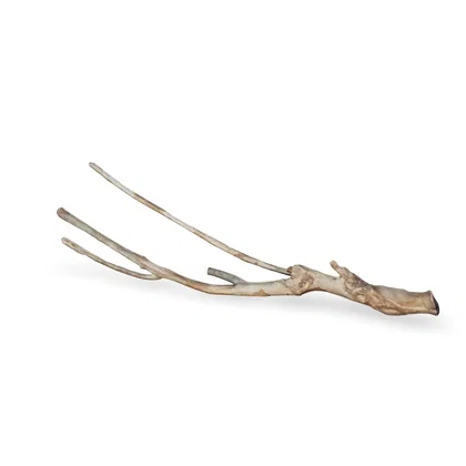 Talawawurzel 3D Nr. 1237 (62x19x7cm)