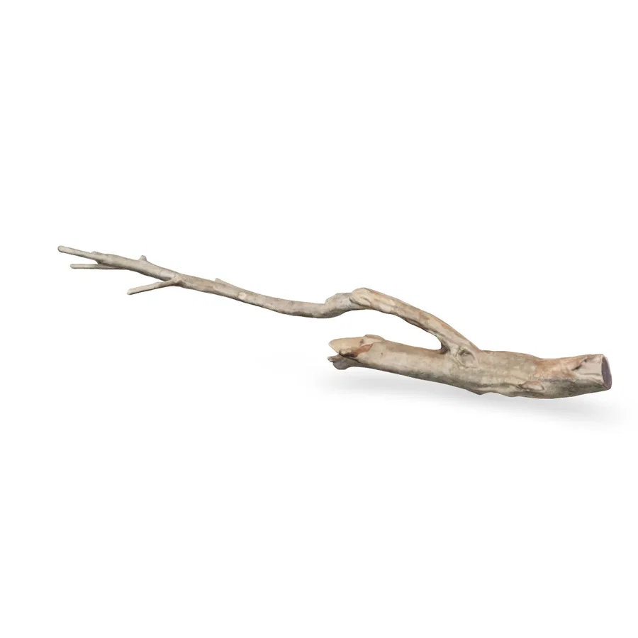 Talawawurzel 3D Nr. 1238 (55x7x8cm)