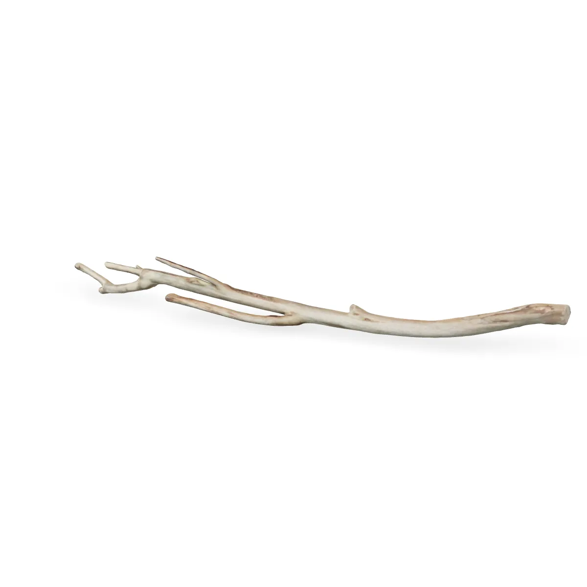 Talawawurzel 3D Nr. 1240 (60x7x8cm)