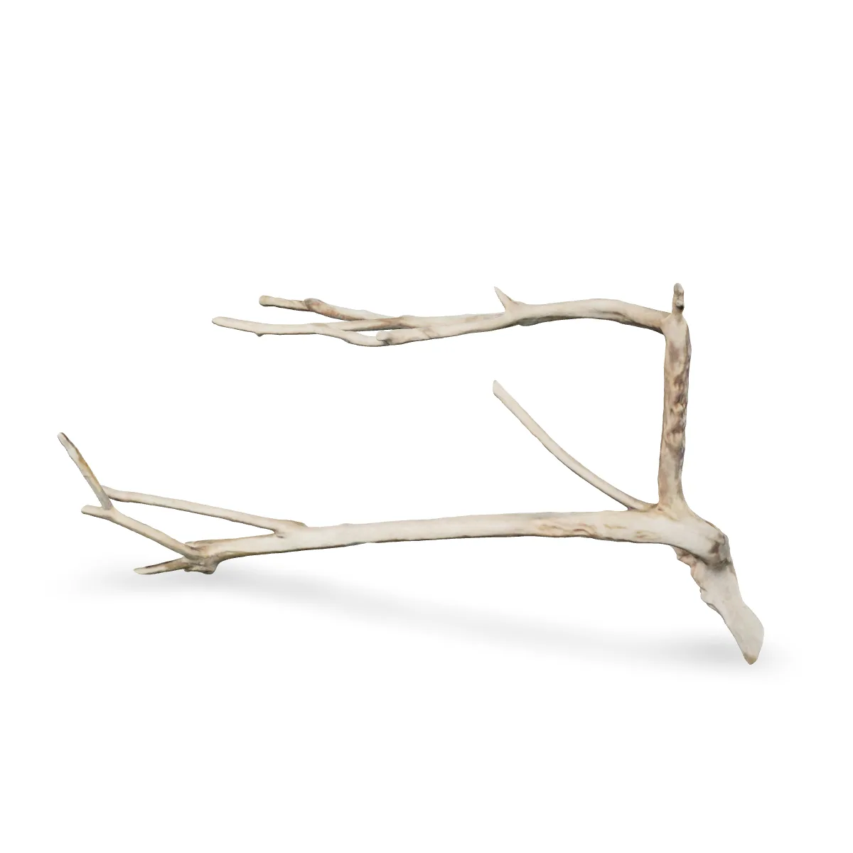 Talawawurzel 3D Nr. 1241 (52x32x17cm)