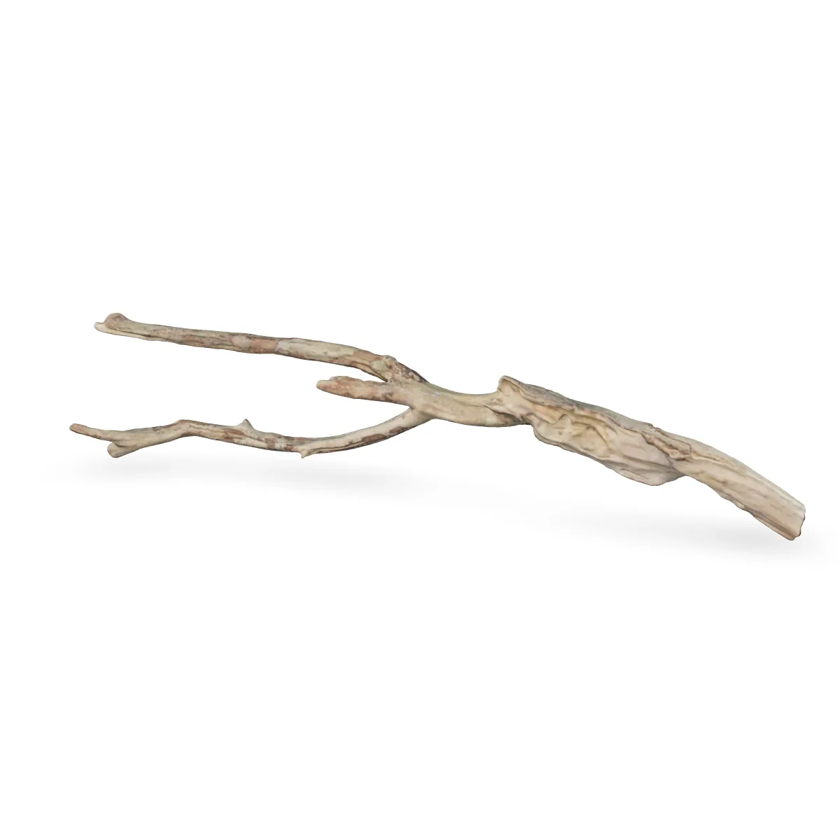 Talawawurzel 3D Nr. 1245 (62x16x8cm)