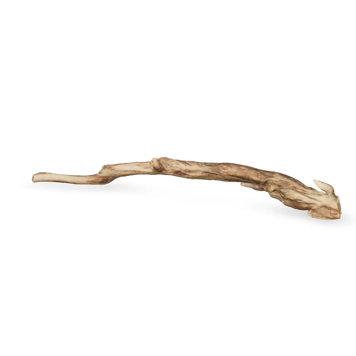 Talawawurzel 3D Nr. 1435 (59x8x7cm)