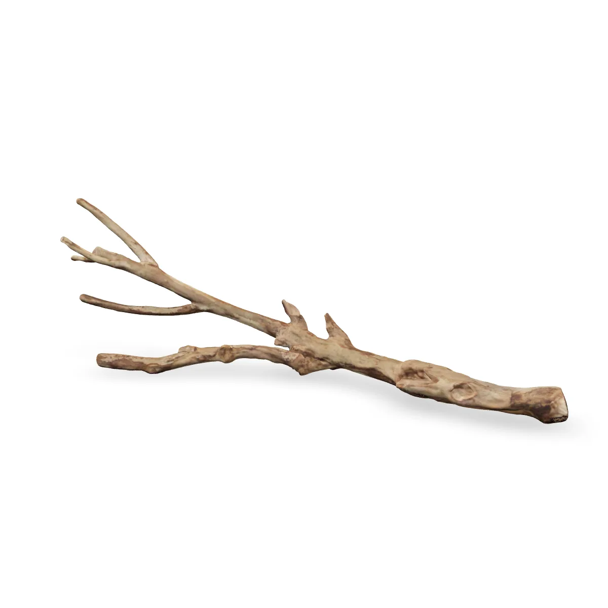 Talawawurzel 3D Nr. 1466 (57x18x12cm)