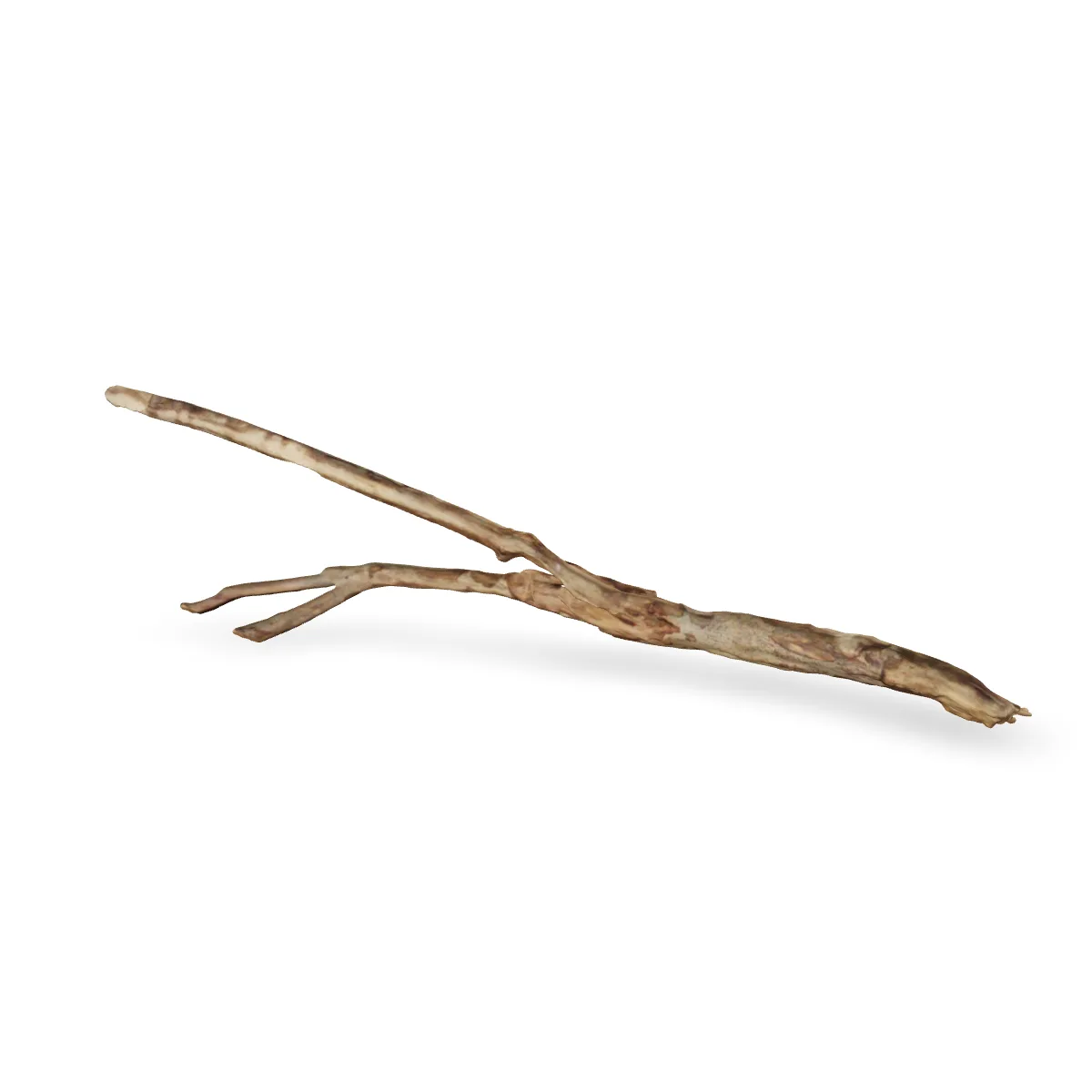 Talawawurzel 3D Nr. 1470 (52x11x10cm)