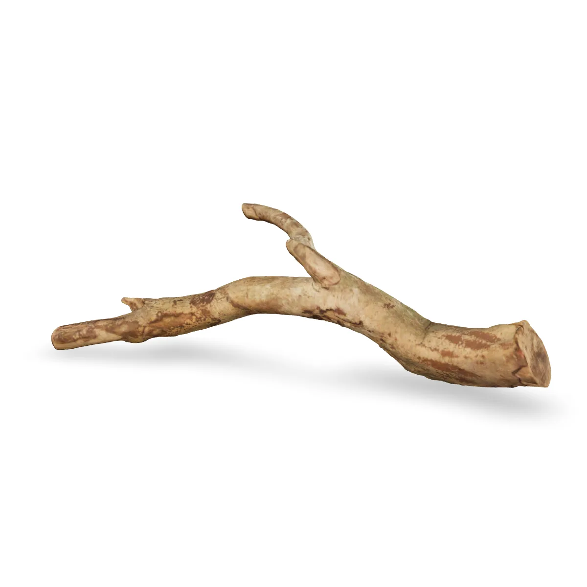 Talawawurzel 3D Nr. 1650 (48x18x10cm)