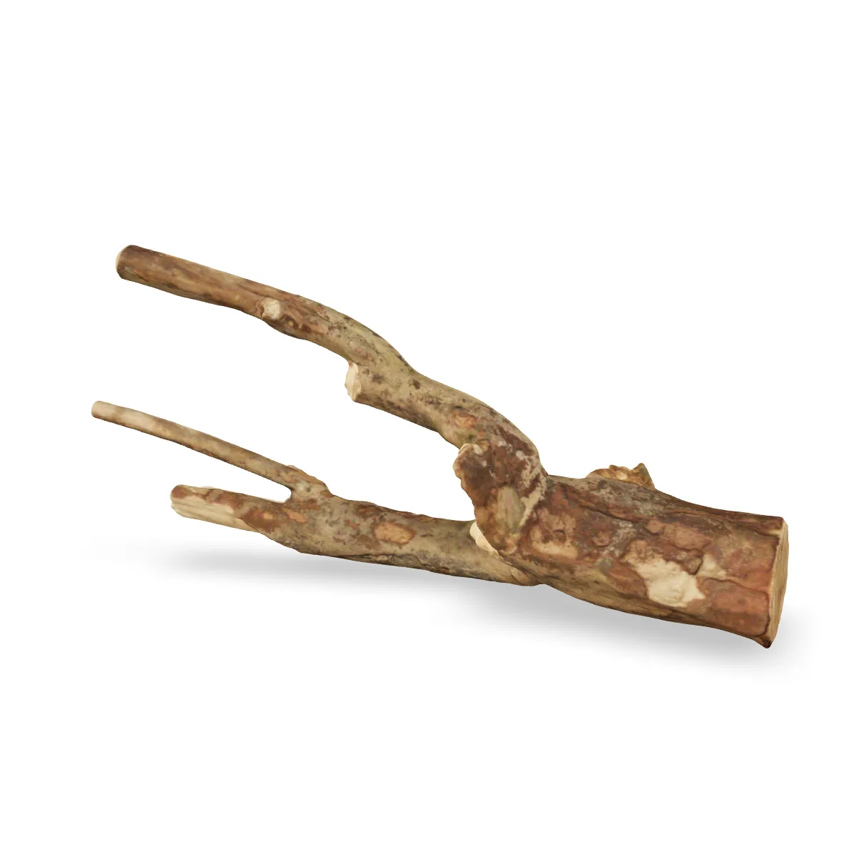 Talawawurzel 3D Nr. 1652 (46x18x10cm)