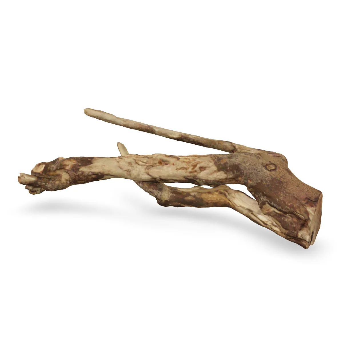 Talawawurzel 3D Nr. 1660 (48x18x13cm)