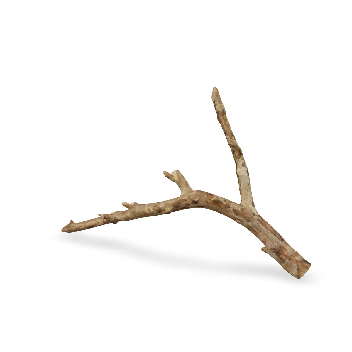 Talawawurzel 3D Nr. 1671 (47x30x9cm)