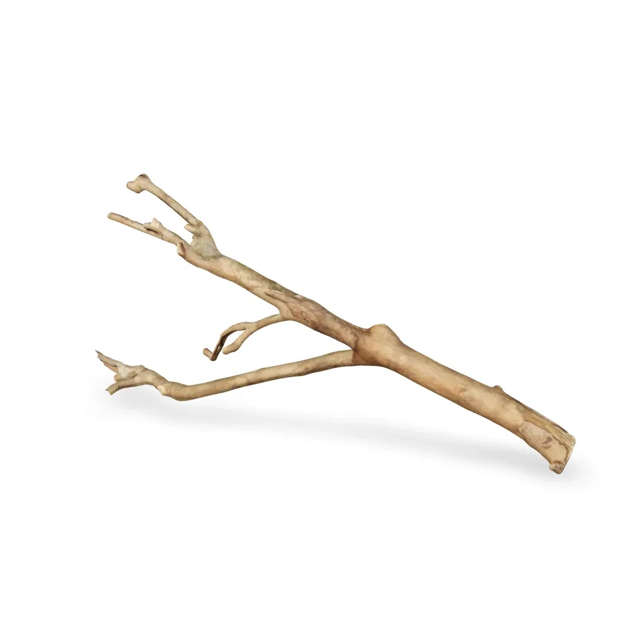 Talawawurzel 3D Nr. 1685 (50x23x9cm)