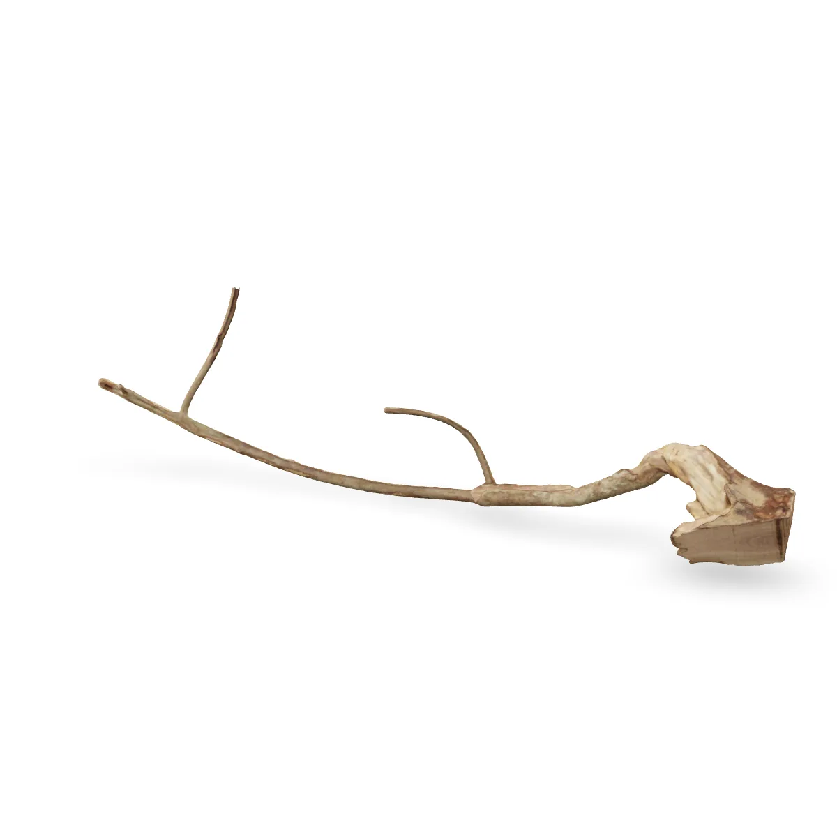 Talawawurzel 3D Nr. 1707 (74x25x12cm)