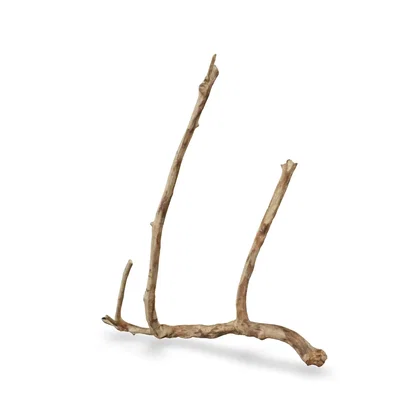 Talawawurzel 3D Nr. 1709 (52x39x9cm)