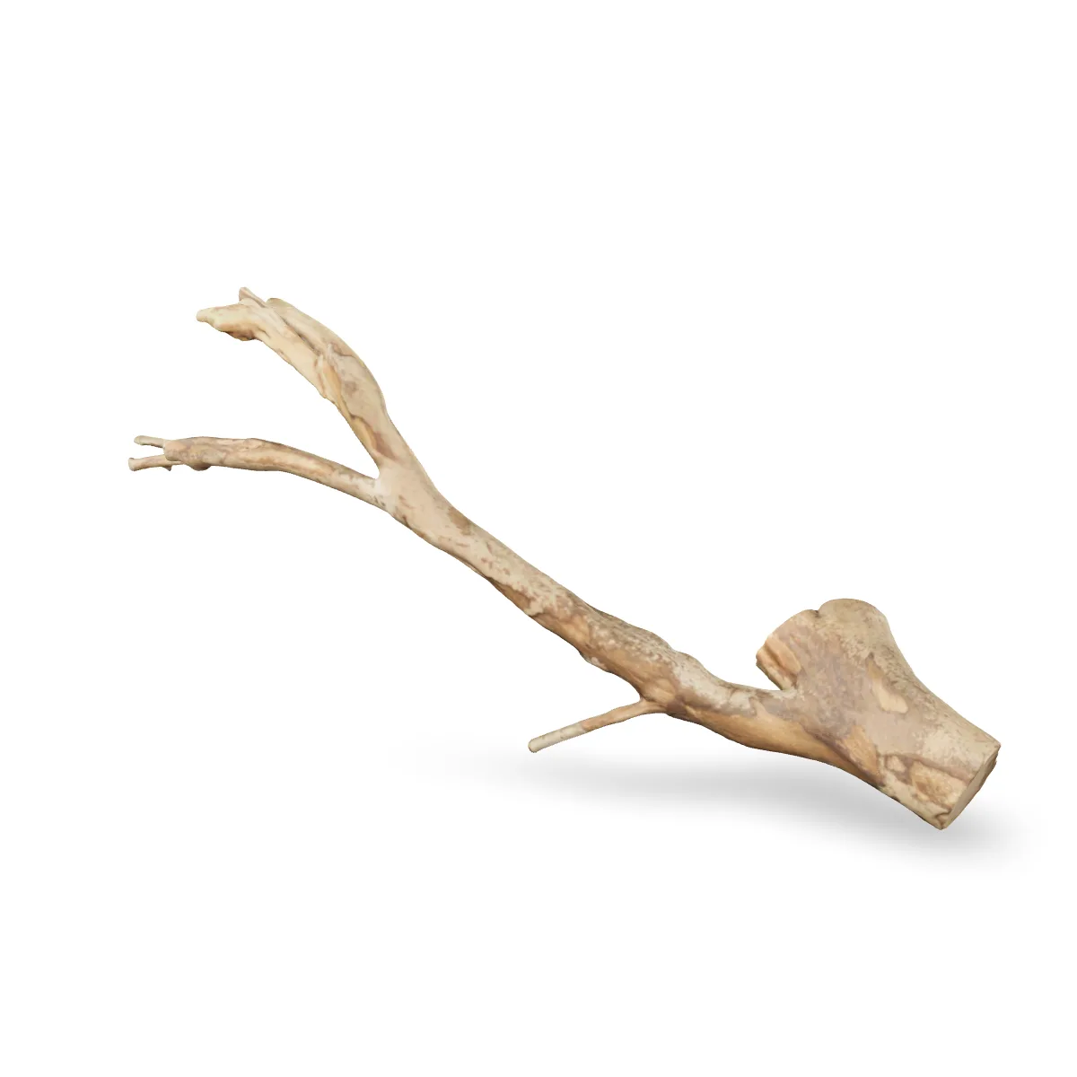 Talawawurzel 3D Nr. 1726 (47x18x8cm)