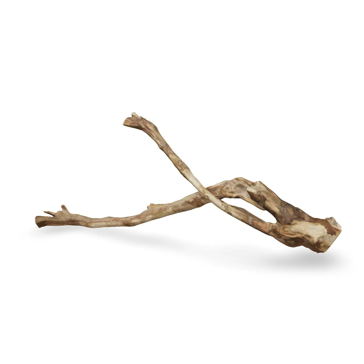 Talawawurzel 3D Nr. 1740 (63x27x13cm)