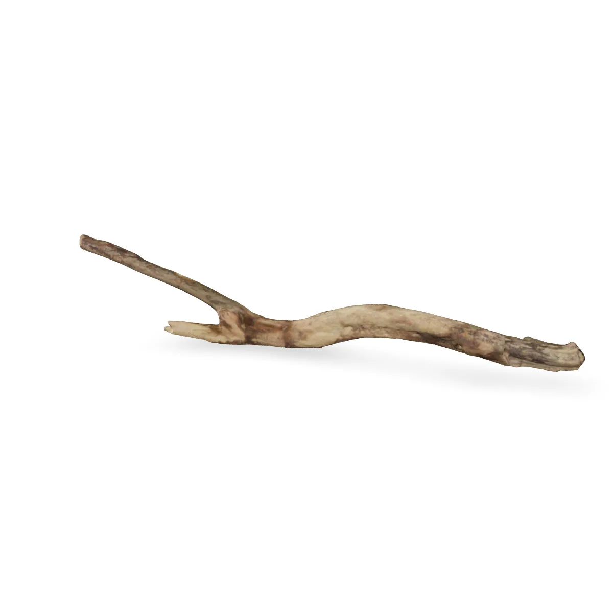 Talawawurzel 3D Nr. 1755 (57x10x6cm)
