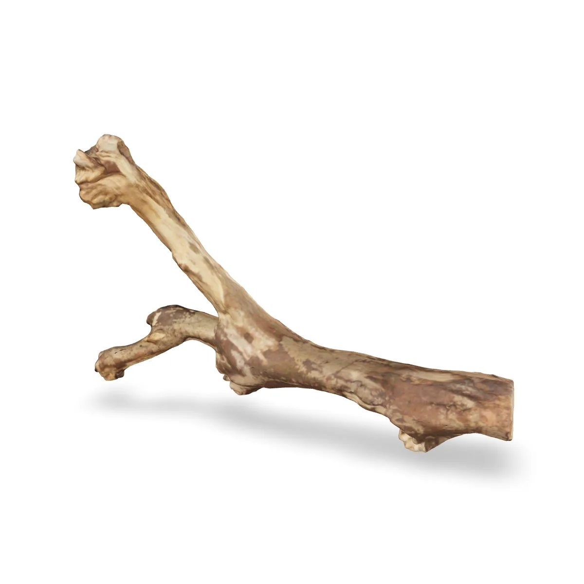 Talawawurzel 3D Nr. 203 (9x23x34cm)