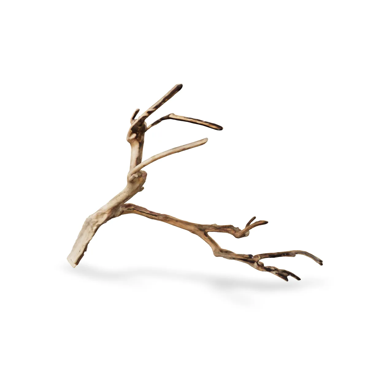 Talawawurzel 3D Nr. 210 (46x21x58cm)