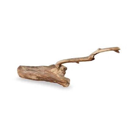Talawawurzel 3D Nr. 213 (9x16x37cm)
