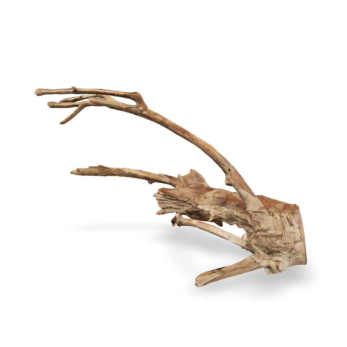 Talawawurzel 3D Nr. 220 (32x37x58cm)