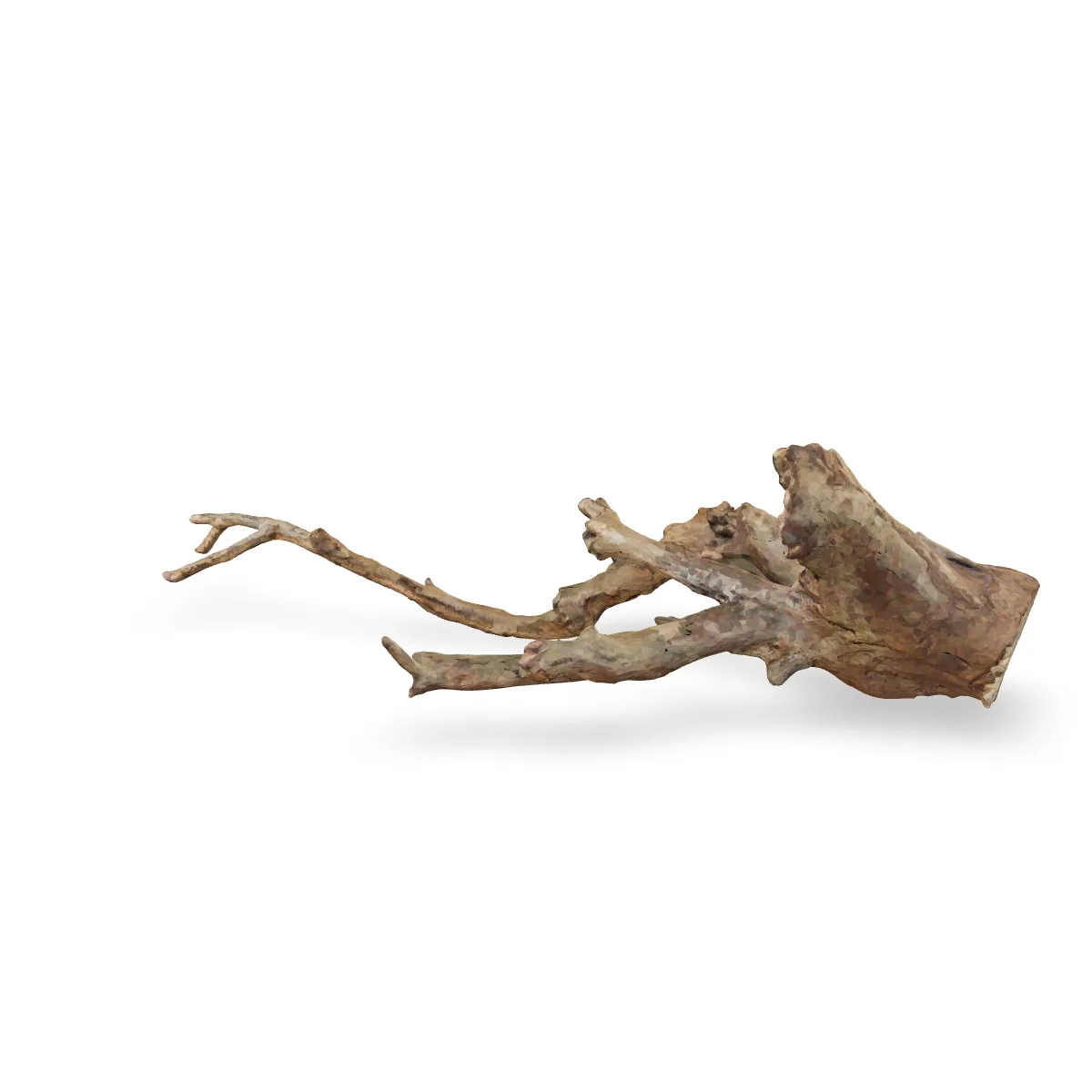 Talawawurzel 3D Nr. 472 (76x36x23cm)