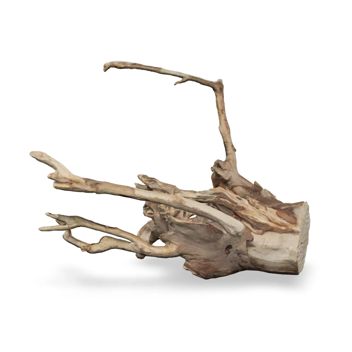 Talawawurzel 3D Nr. 474 (40x28x32cm)