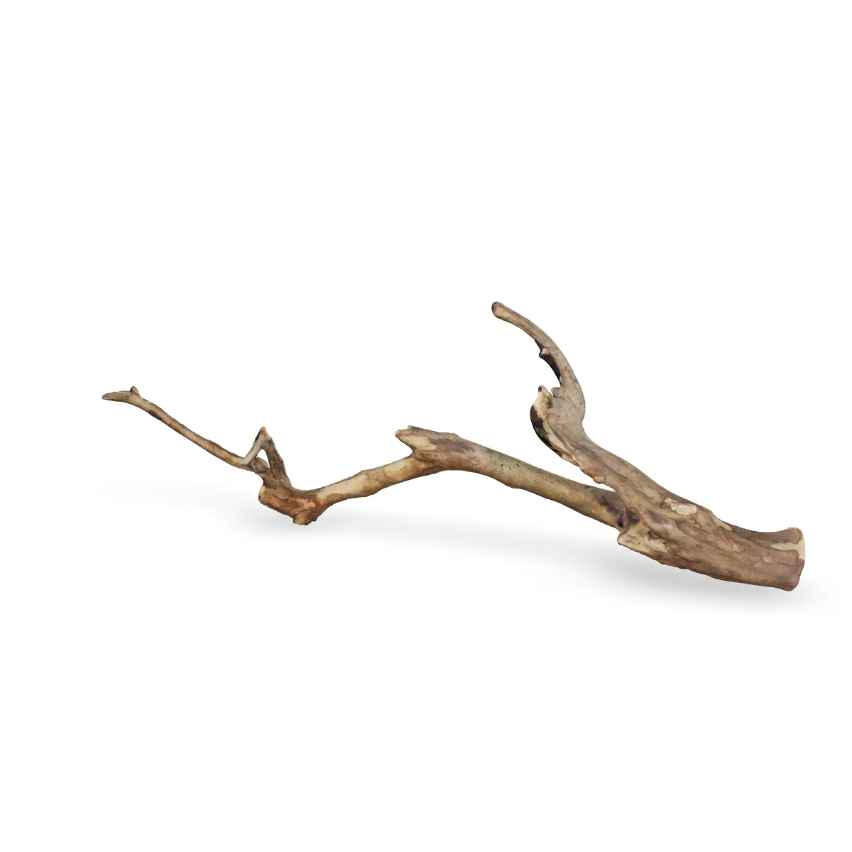 Talawawurzel 3D Nr. 475 (74x10x24cm)