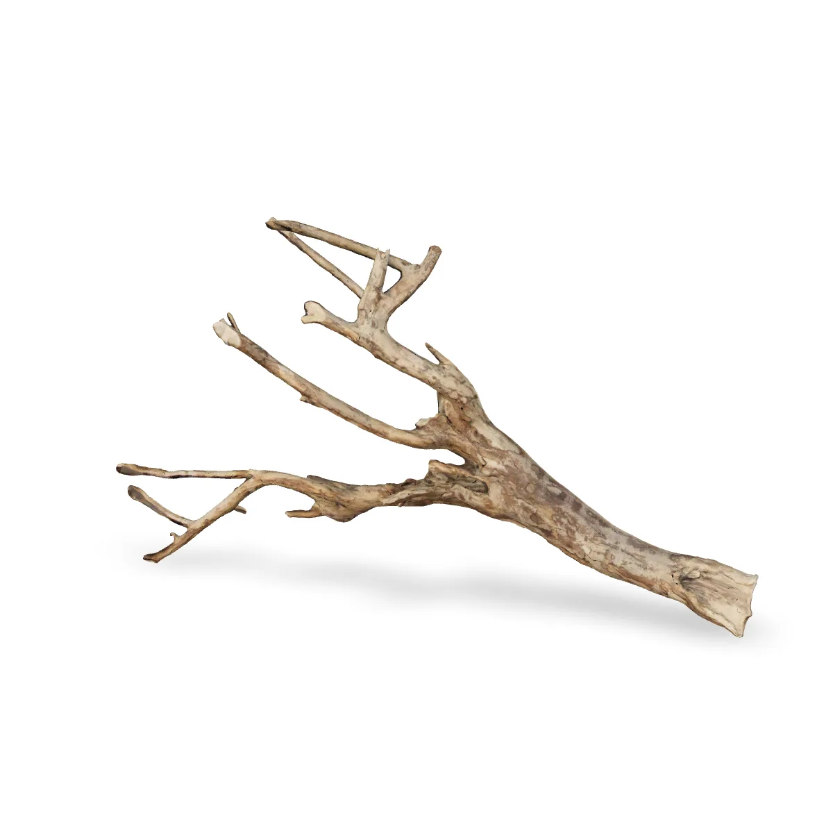Talawawurzel 3D Nr. 476 (78x15x42cm)