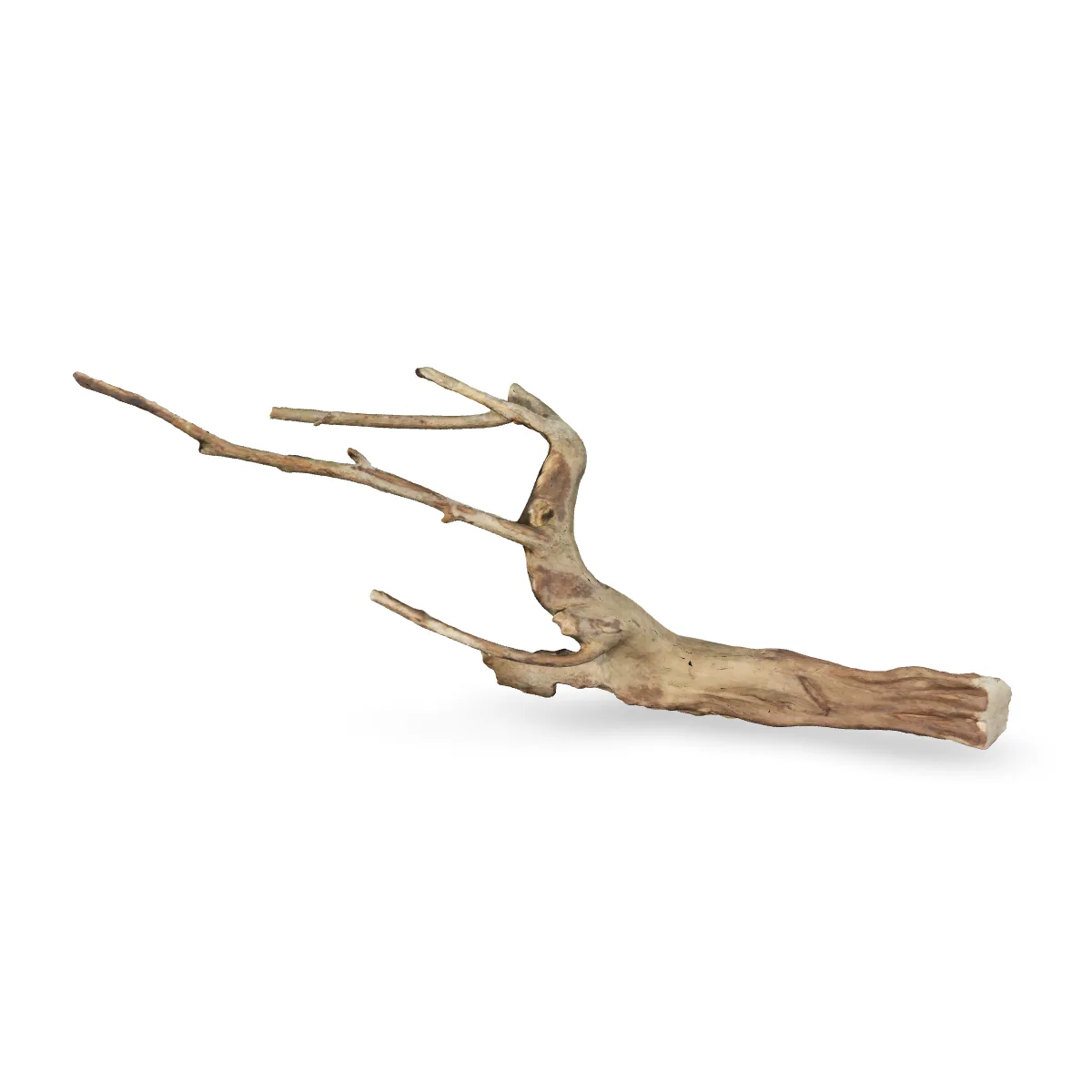 Talawawurzel 3D Nr. 480 (66x17x24cm)