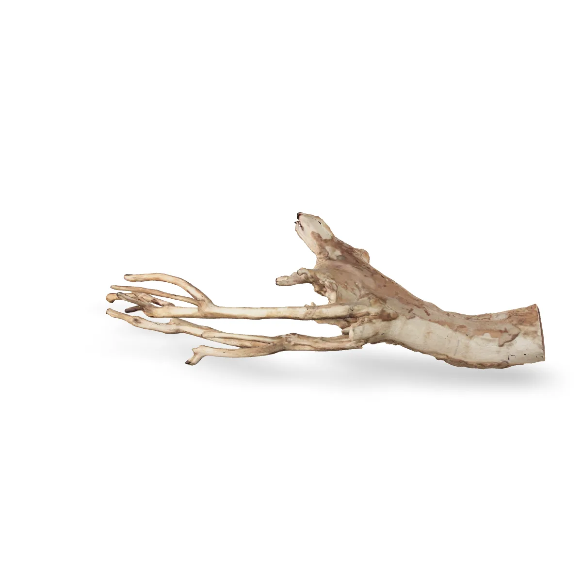 Talawawurzel 3D Nr. 489 (67x20x18cm)