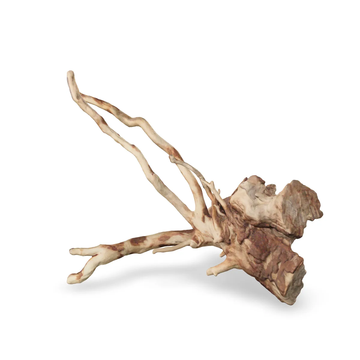 Talawawurzel 3D Nr. 519 (43x21x31cm)