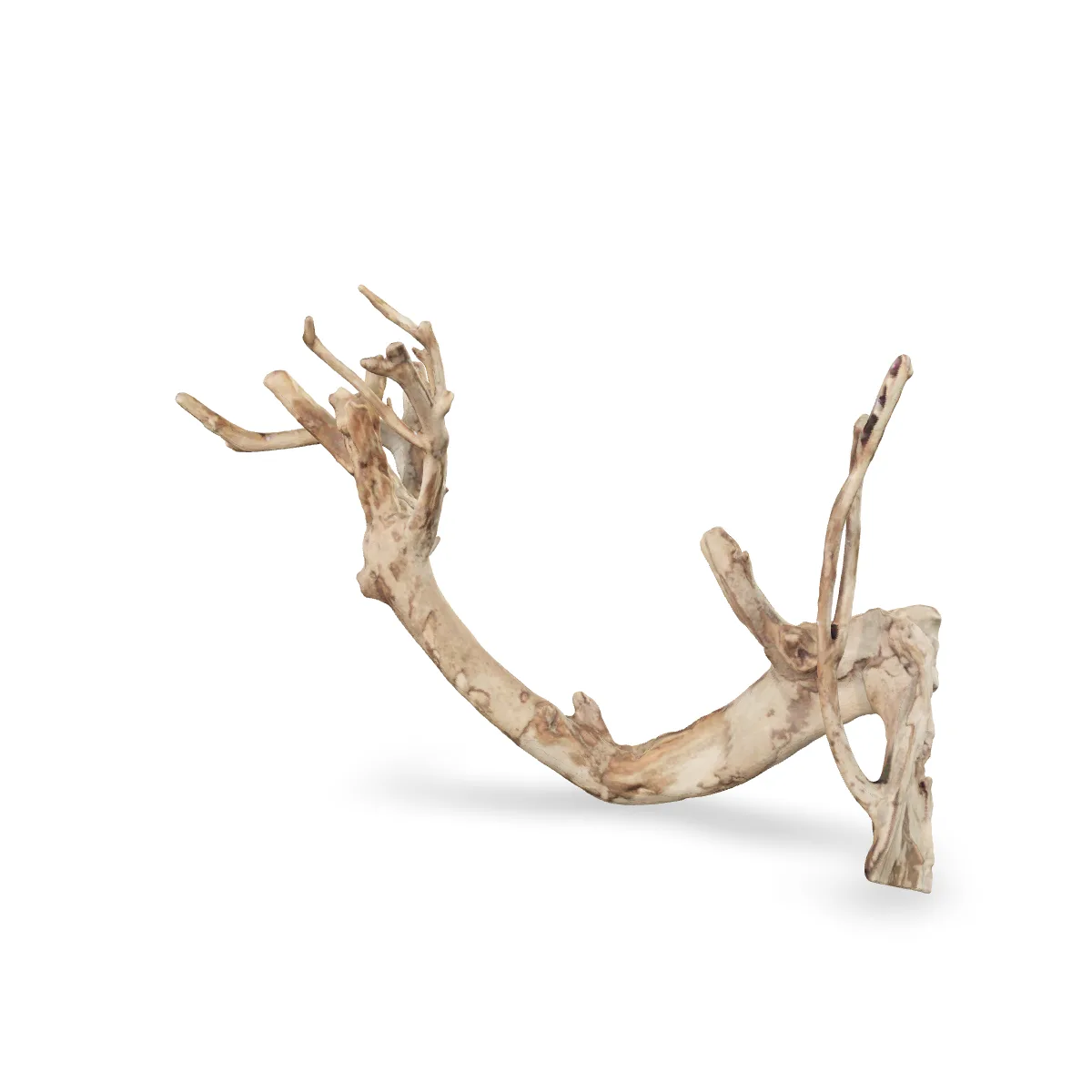 Talawawurzel 3D Nr. 556 (54x21x35cm)
