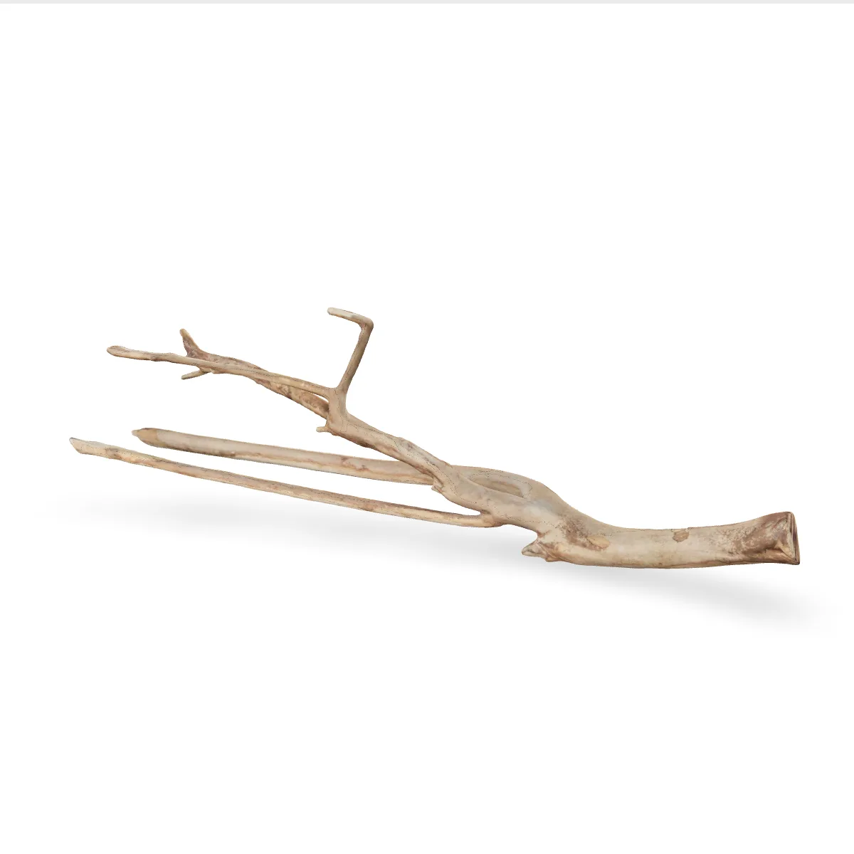 Talawawurzel 3D Nr. 559 (78x18x24cm)