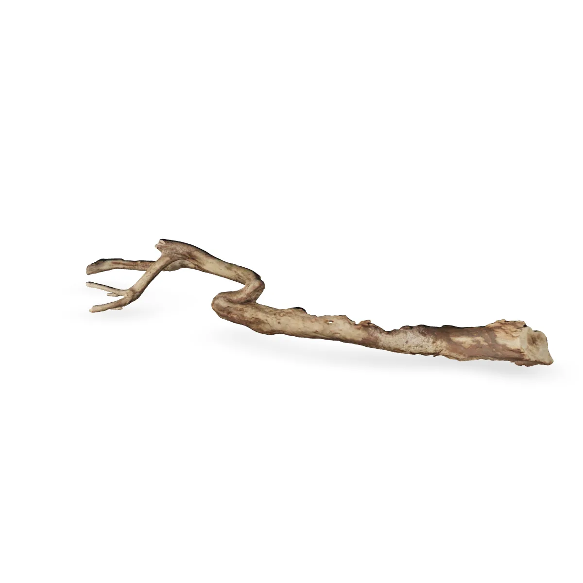 Talawawurzel 3D Nr. 68 (15x12x76cm)