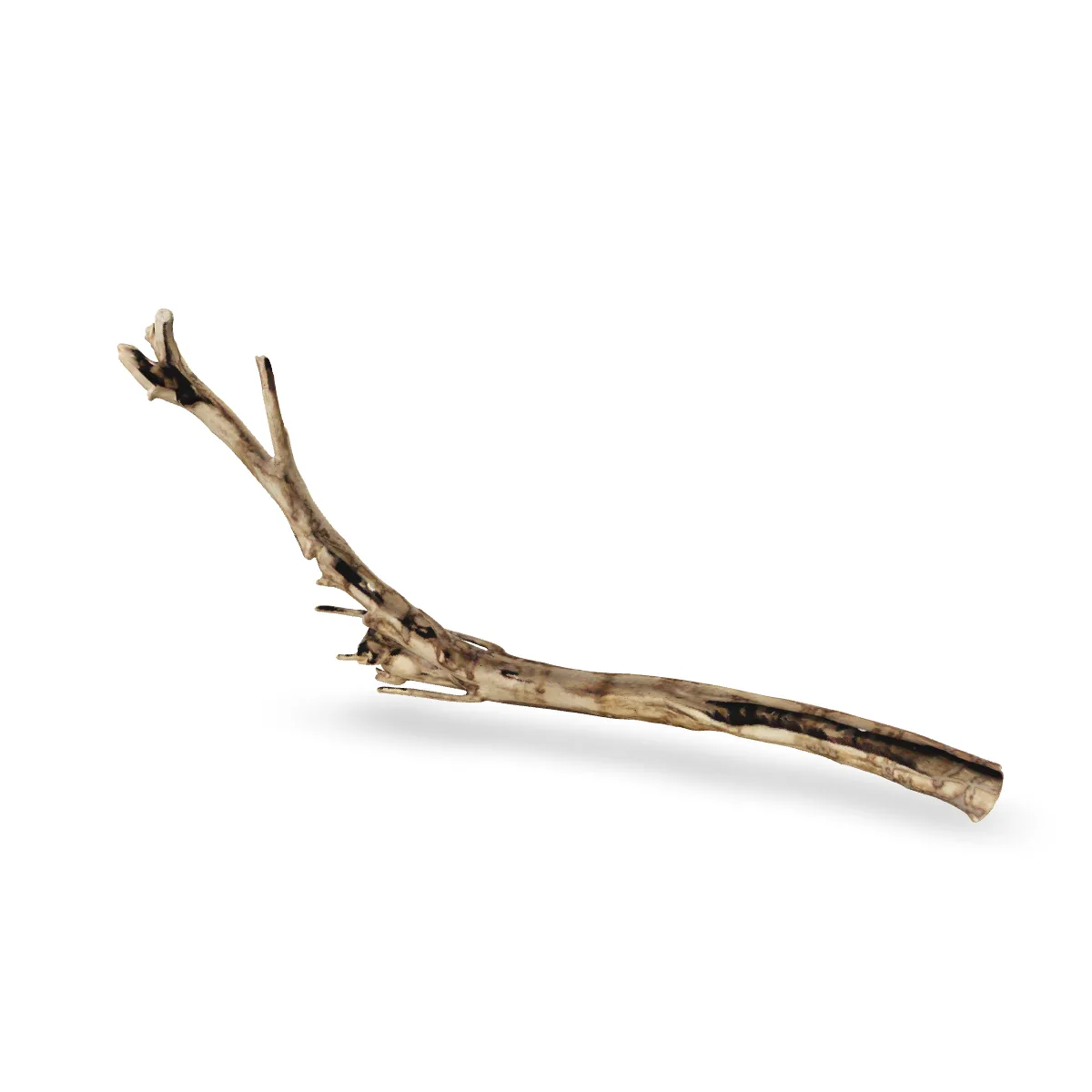 Talawawurzel 3D Nr. 69 (21x6x71cm)