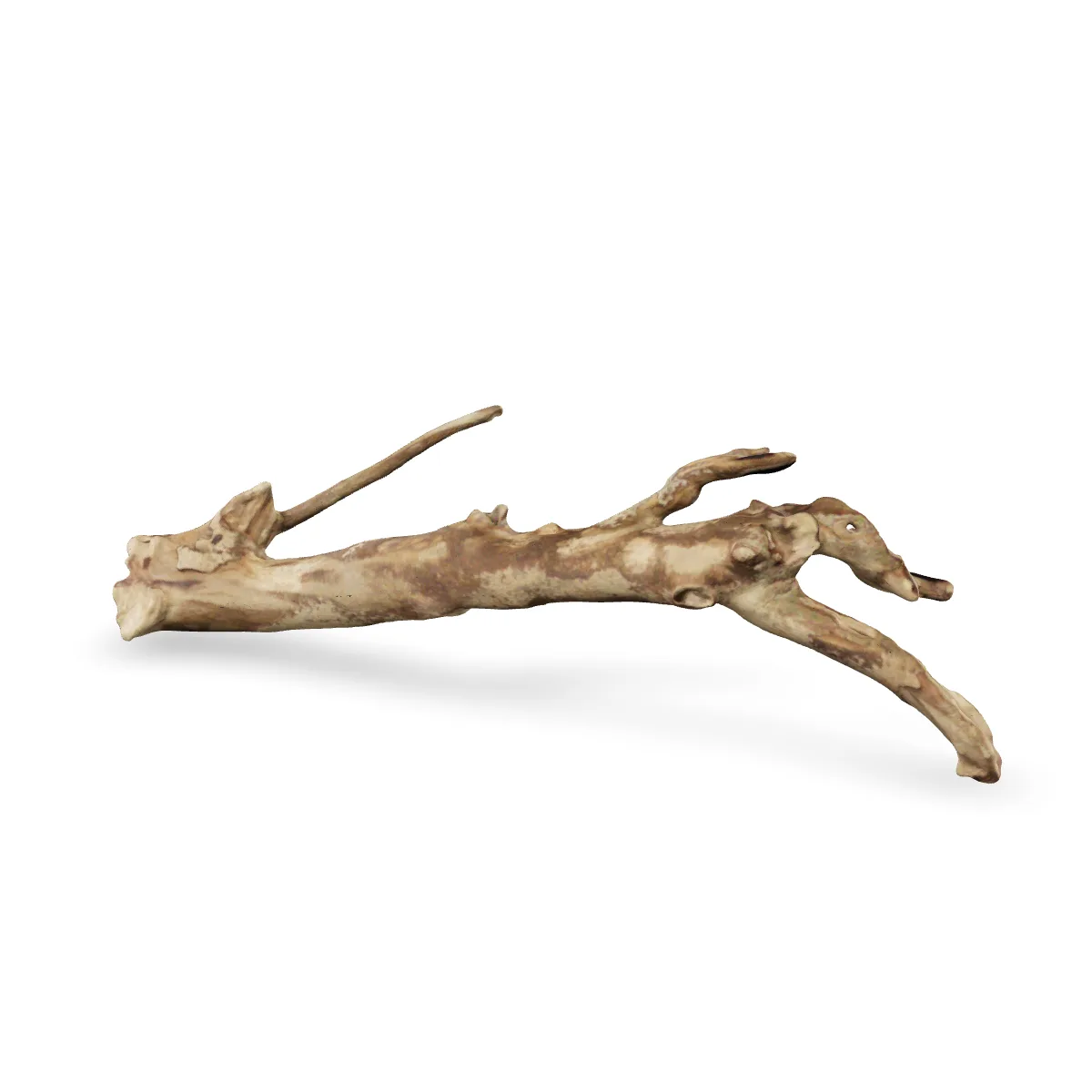 Talawawurzel 3D Nr. 79 (15x10x40cm)
