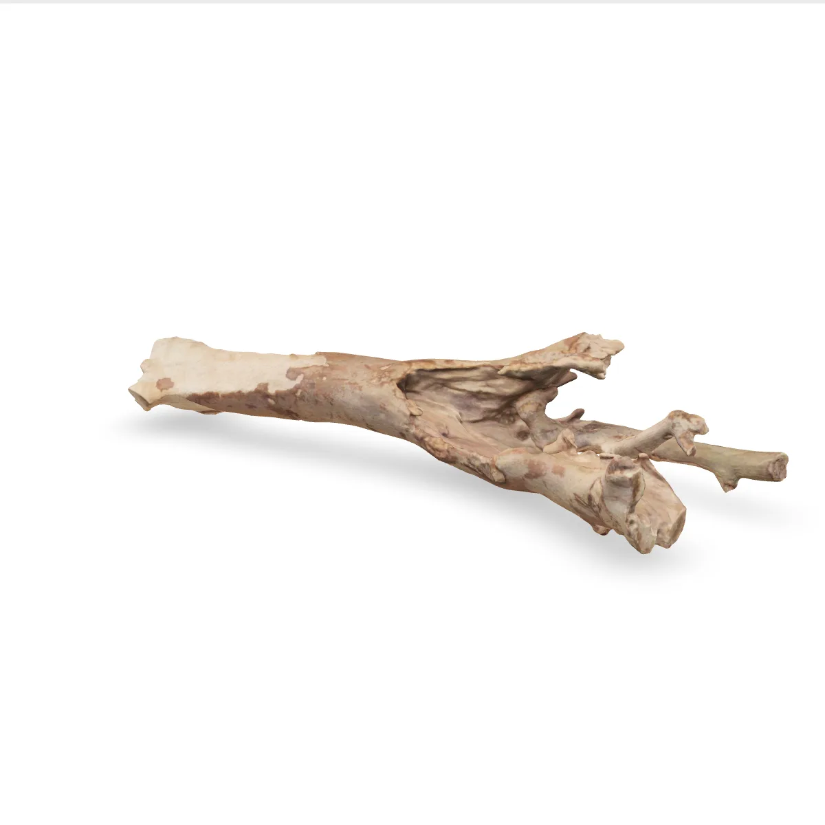 Talawawurzel 3D Nr. 915 (57x24x12cm)