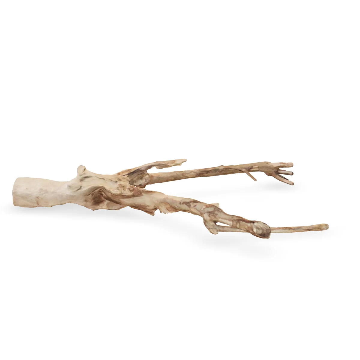 Talawawurzel 3D Nr. 918 (64x42x10cm)