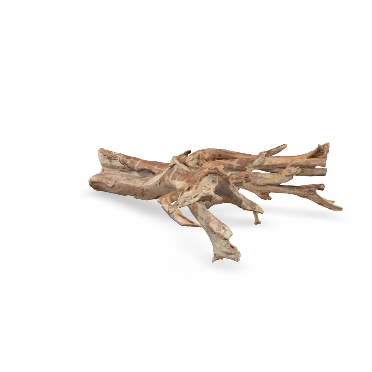 Talawawurzel 3D Nr. 933 (57x40x18cm)