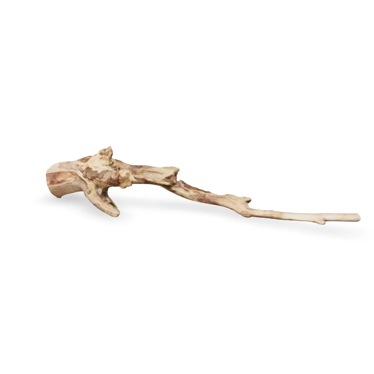 Talawawurzel 3D Nr. 936 (48x14x10cm)