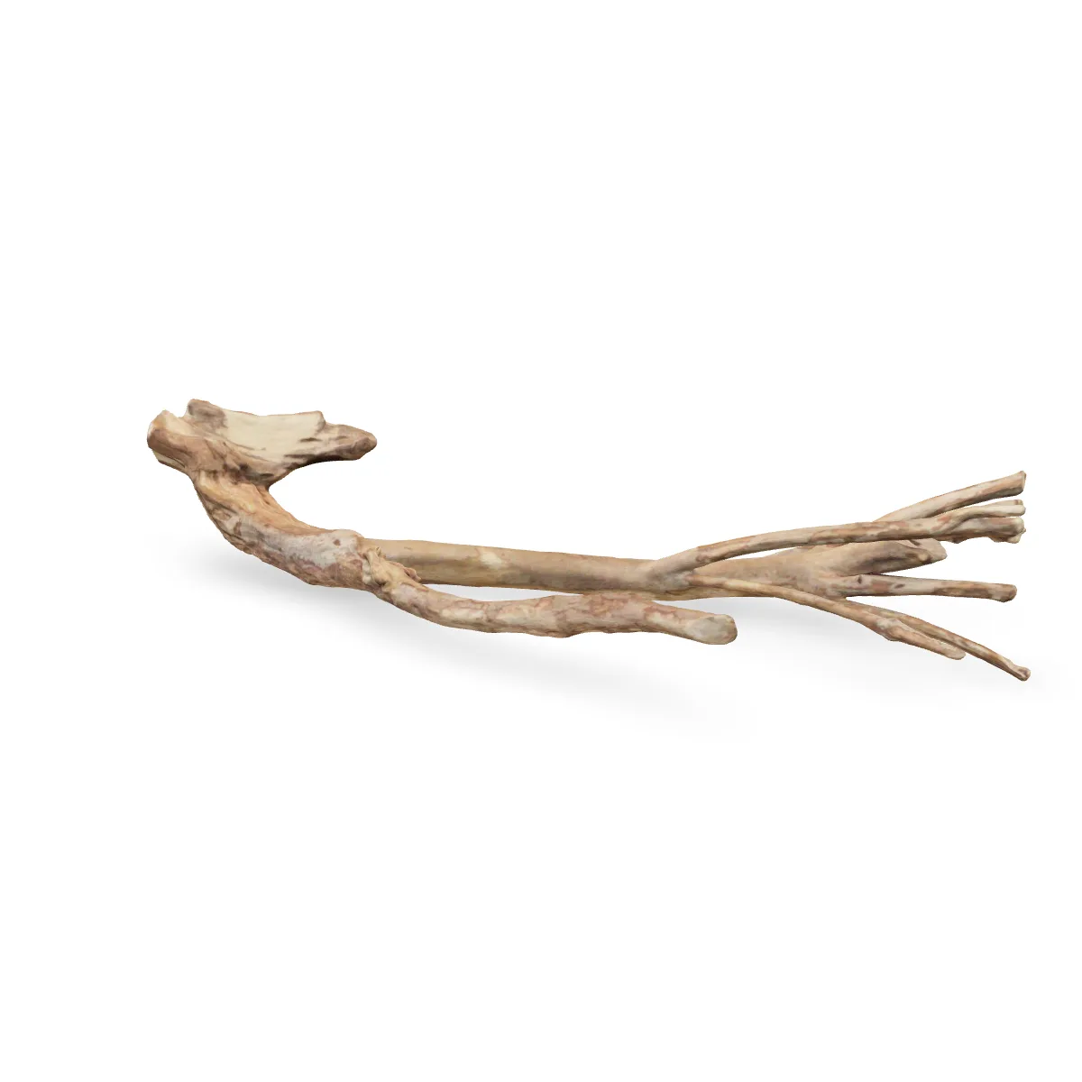 Talawawurzel 3D Nr. 939 (57x23x11cm)