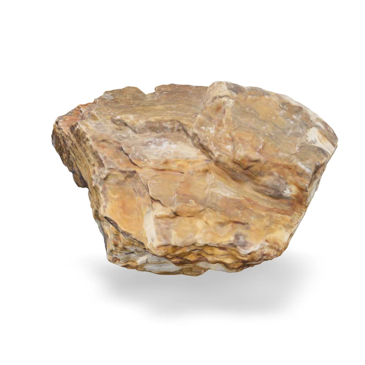 Versteinertes Holz 3D Nr. 109 (31x23x15cm)