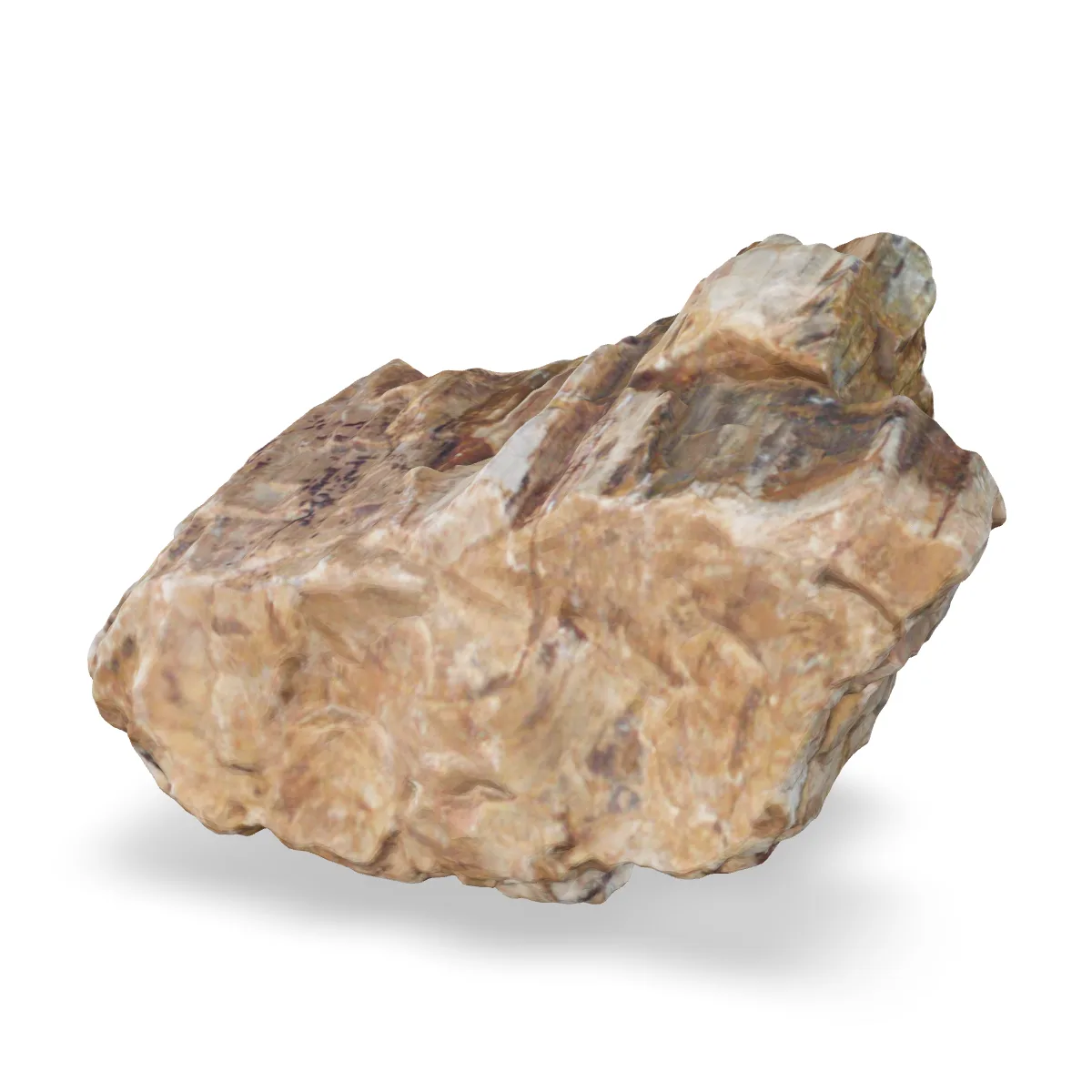 Versteinertes Holz 3D Nr. 145 (27x18x17cm)