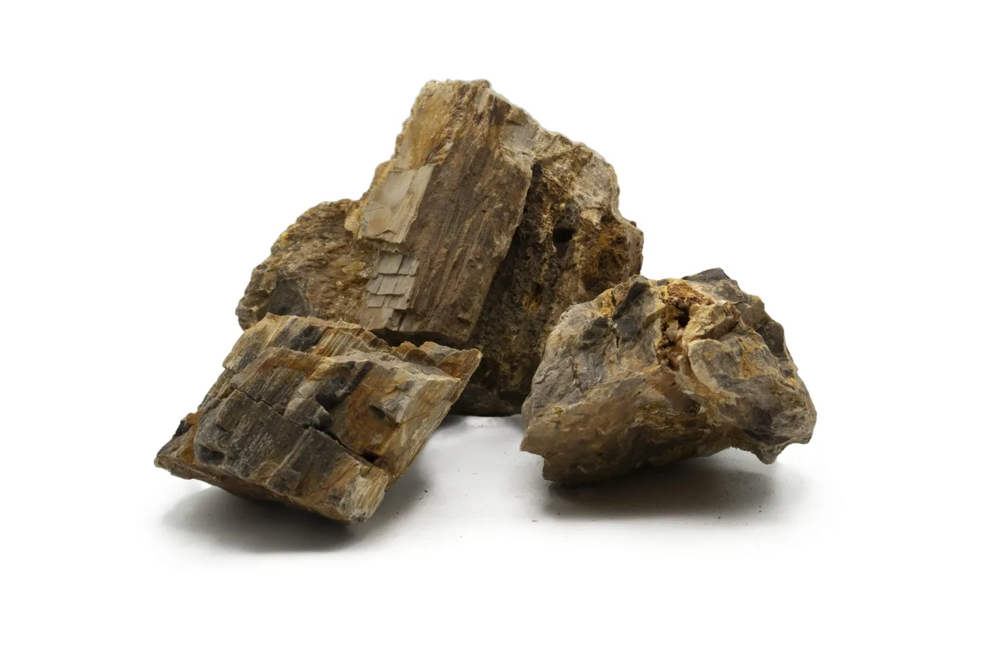 Versteinertes Holz Bunt je 1kg