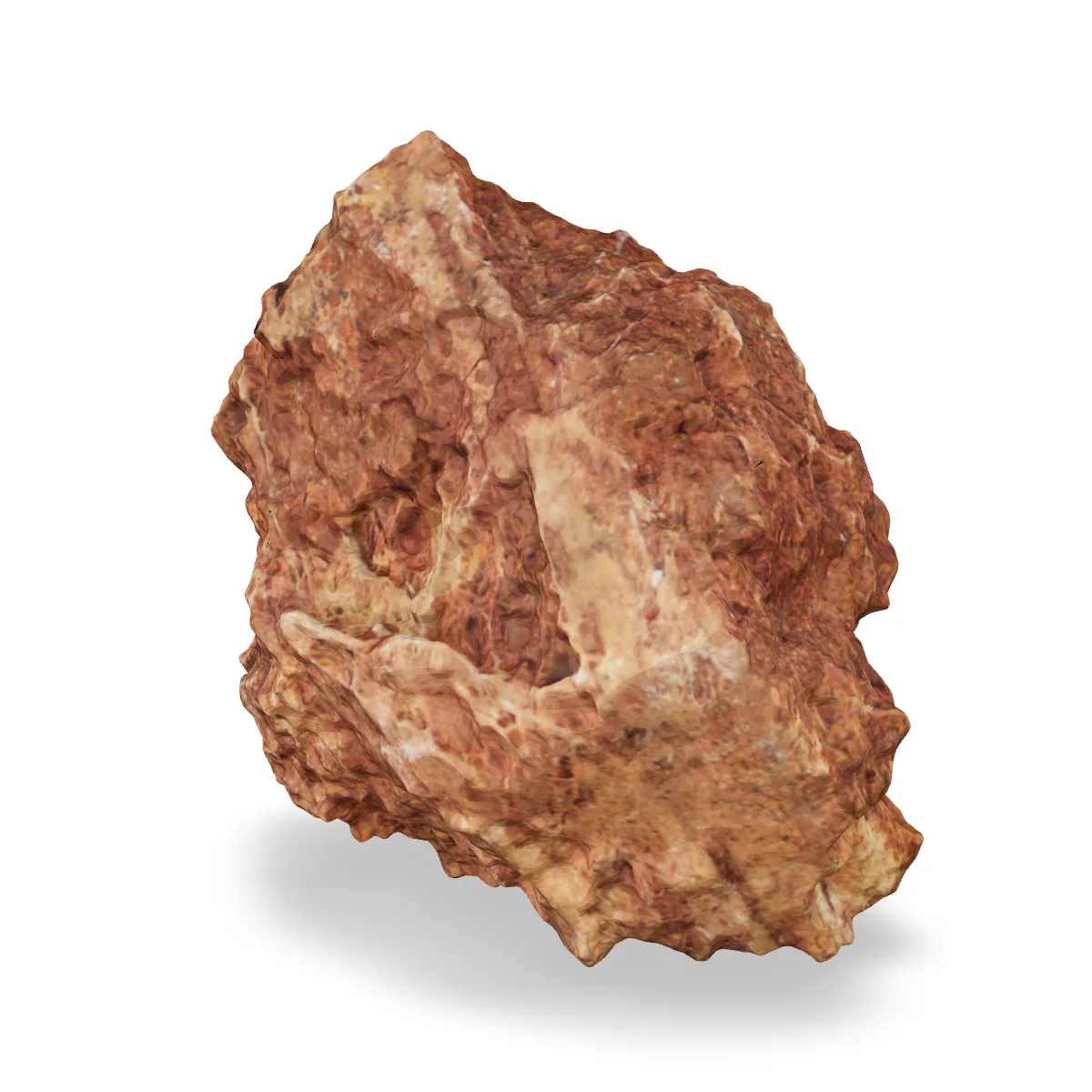 Versteinertes Laub 3D Nr. 12 (23x13x24cm)
