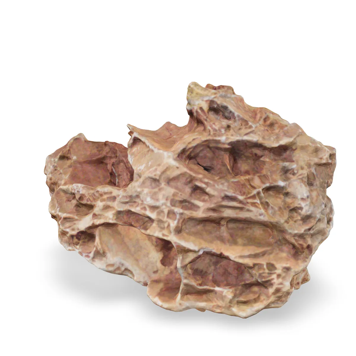 Versteinertes Laub 3D Nr. 62 (22x15x15cm)