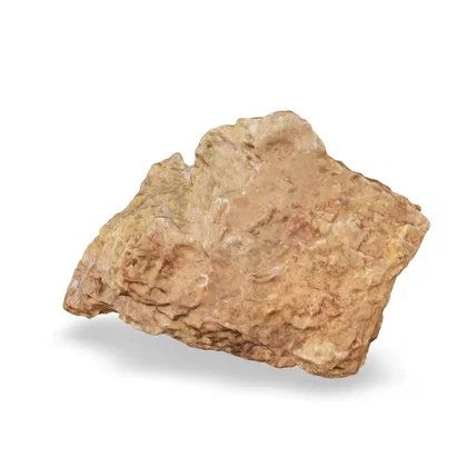 Versteinertes Laub 3D Nr. 96 (34x23x13cm)