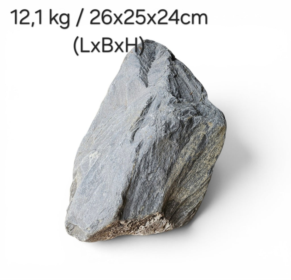 Wild Rhino Steine / Stones XL / Main Stones