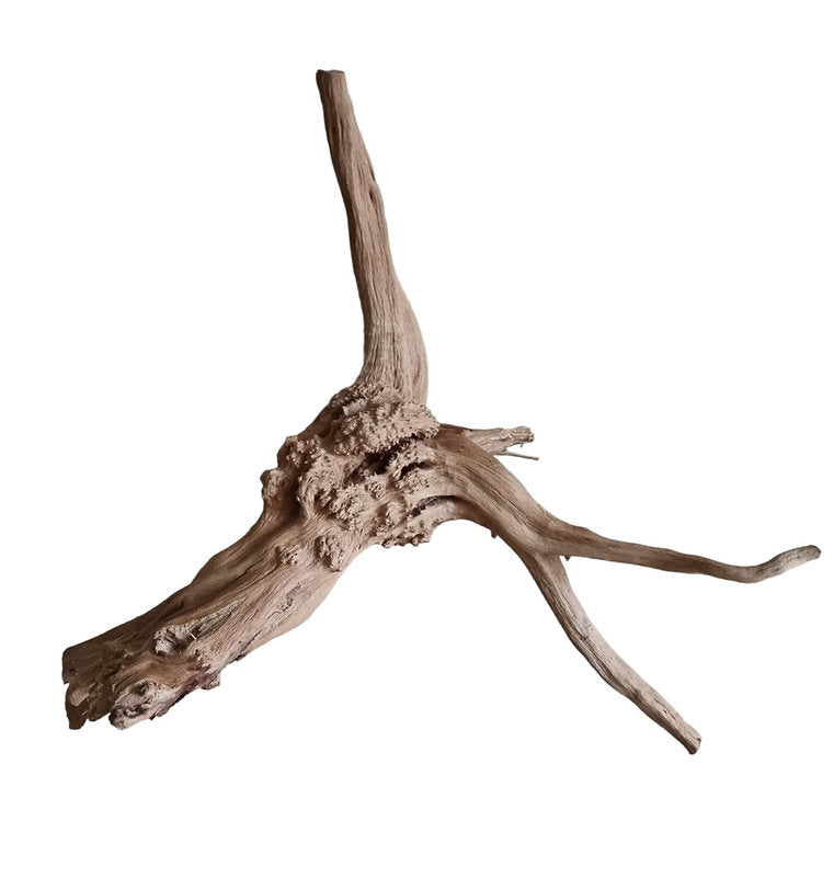 WIO Tree Trunk Wood Wurzel 290
