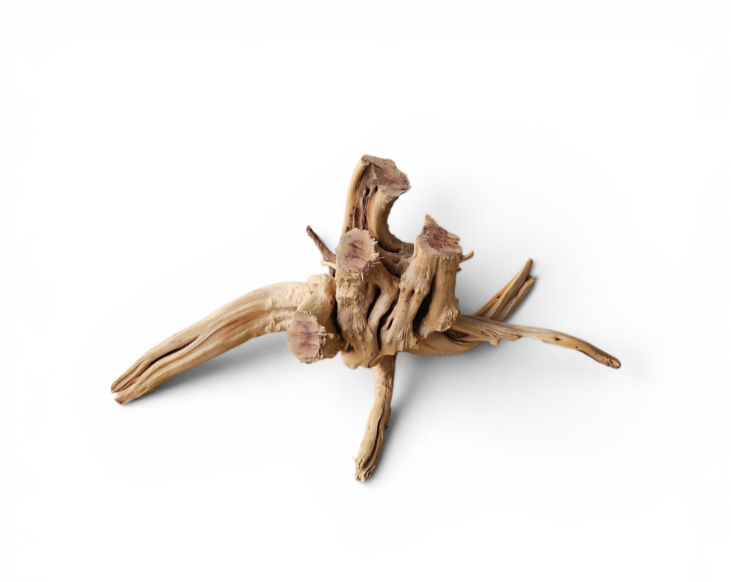 WIO Tree Trunk Wood Wurzel 296
