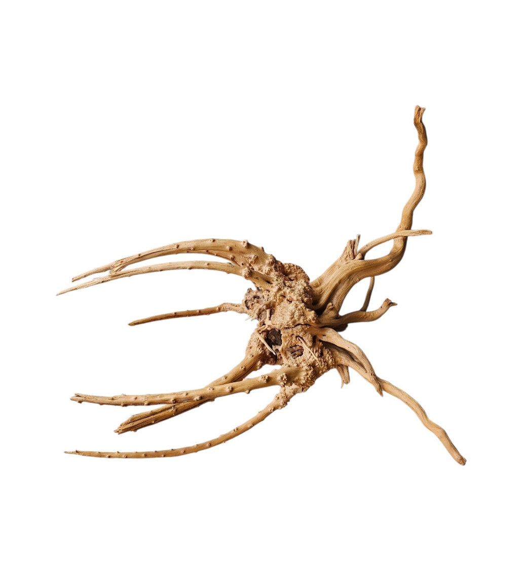 WIO Tree Trunk Wood Wurzel 298